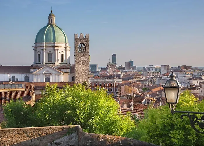 I Lecci By Al Daire *